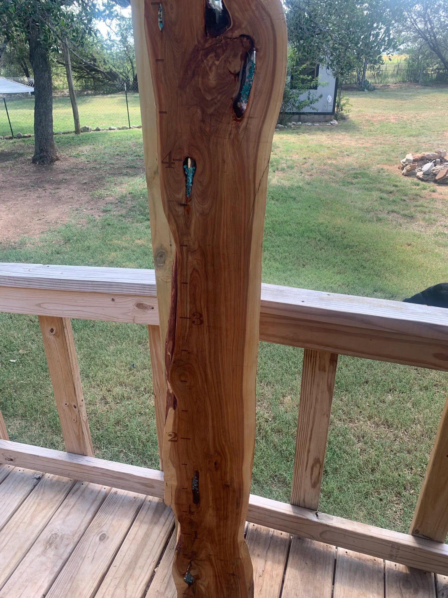 Live Edge Turquoise Inlayed Growth Chart