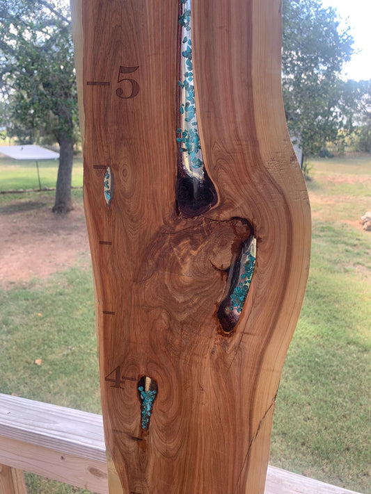 Live Edge Turquoise Inlayed Growth Chart